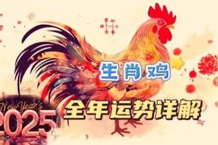 2025年属鸡的多大(2025年属鸡的多大啦)