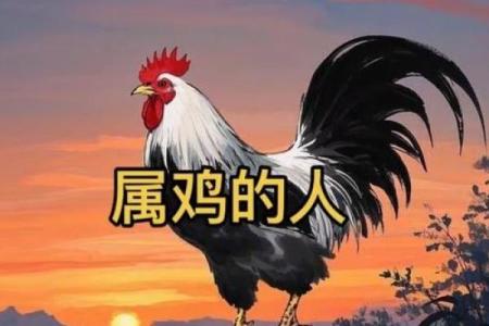 2025年属鸡有两喜缠身(2025年属鸡有两喜缠身鸡女的贵人是谁)