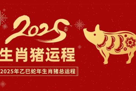 2007年属猪2025年运势及运程(2007年属猪2025年运势及运程每月运程)