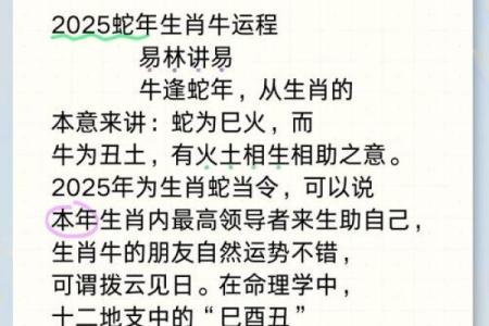 属羊男2025年全年运势(73年属牛男2025年每月运势完整版)