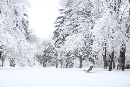 做梦下雪了是什么征兆