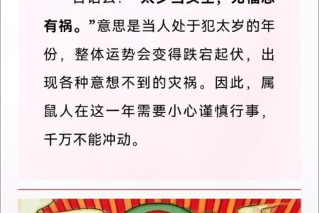 属鼠的人2025年运势及运程(属鼠的人2025年运势及运程详解吉祥方位)