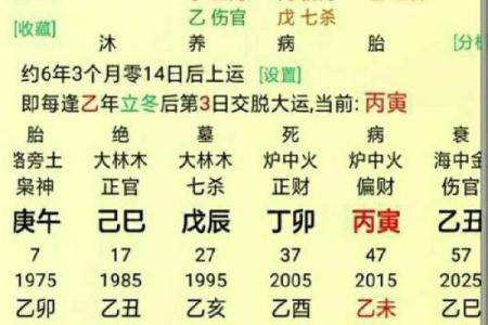 正官在八字中代表什么(正官在八字中代表什么意思女命)