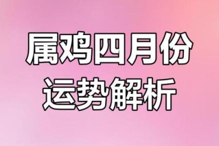2025年属鸡的运势(2025年属鸡的运势如何)