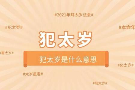 属猪的2025年多大(属猪的2025年多大岁)