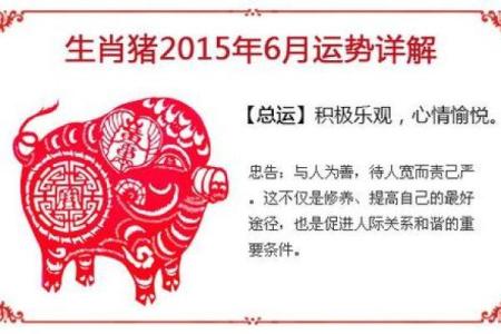 71属猪2025年必有一难(1971年几月猪最有福气)