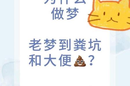 梦见大便弄身上是什么意思