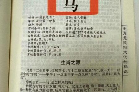 2025年属马的几岁(2014属马的人是什么命)