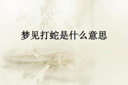 梦到好多蛇预示着什么周公解梦