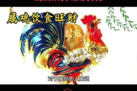 2025年属鸡翻身之年(2025年属鸡翻身之年 预兆什么)