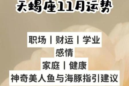 天蝎座运势今日运势查询(天蝎座运势今日运势查询lucky)