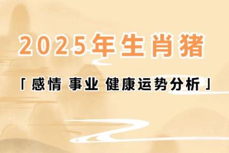 2025年属猪1971年出生的运势(2025年属猪1971年出生的运势如何)
