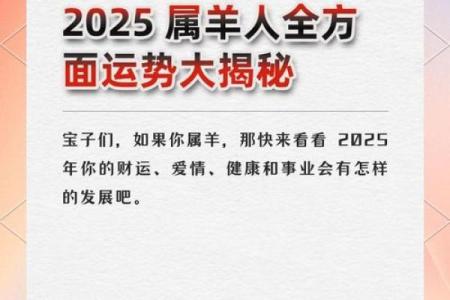 67年属羊人2025年运势(67年属羊人2025年运势详解)