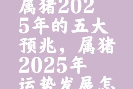 83年属猪2025 年的运气(83年属猪2025 年的运气免费)