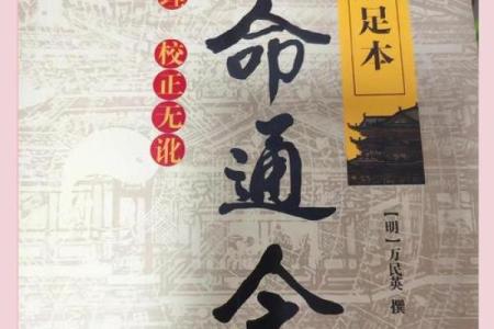 枭在八字中代表什么(枭八字代表什么意思)