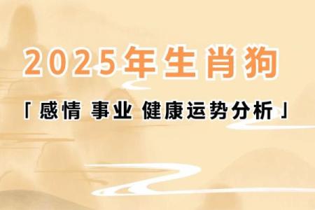 属狗人2025年运势(属狗人2025年运势及运程1982年出生)