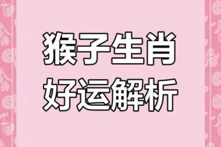 1980属猴女2025每月运势财运(1980属猴2025每月运势财运女)