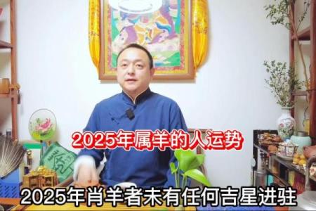 2025年属羊的几岁(91年属羊2025年的运势)