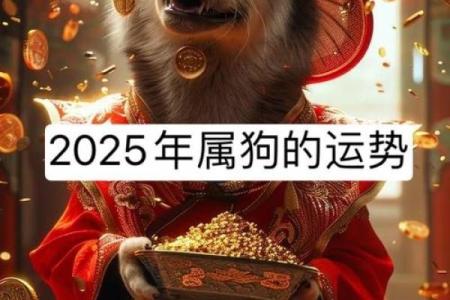 2025年属狗的全年运势(2025年属狗的全年运势书)