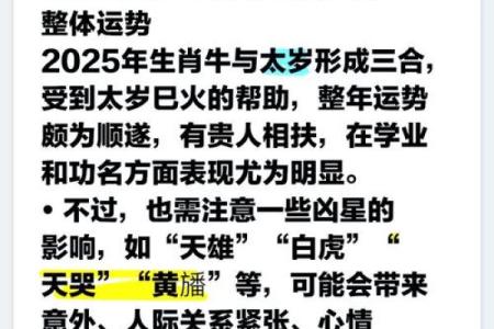 属牛今日下午偏财运(属牛的今日财运在什么方位)