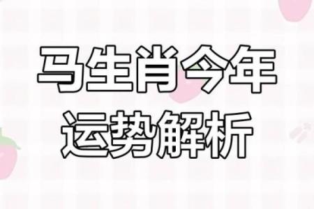 属马的2025年多大了(属马的今年多大岁数)