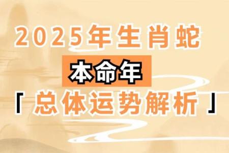 1953年属蛇人2025年运势(1953年属蛇人2025年运势及运程详解)