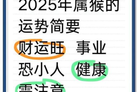 属猴人2025年每月运势及运程详解(生肖猴2025年运势)