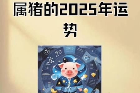 2025年属猪人的全年运势(2024属猪的全年运势)