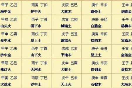 胎元在八字中代表什么意思(胎元看前世是什么转世投胎)