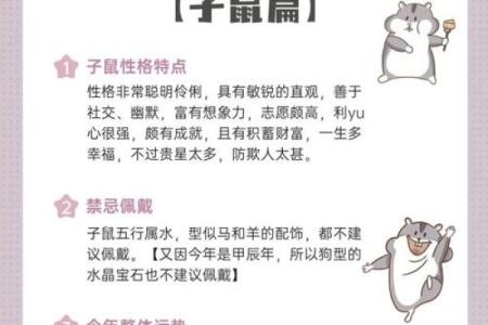84年的鼠2025年的运势及运程(1984年属鼠2025年运势)