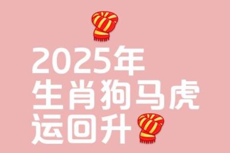 属狗今年运势2025年运势如何(属狗运势2025年运势详解)