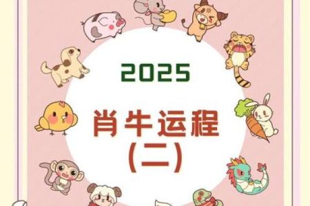 73年男牛2025年运势完整版(1973年男2025年运势完整版)