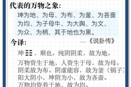坤造在八字中代表什么意思(生辰八字坤造是什么意思)