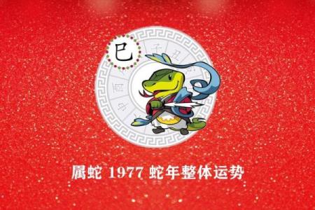 77年属蛇2025年运势及运程(77年属蛇2025年运势及运程逐月分析)
