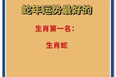 属蛇2025年运势(2025年蛇年运势)