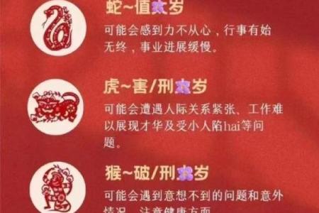 1983年属猪女2025年运势及运程(1983年属猪女2025年运势及运程每个月运势)