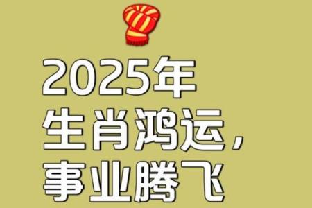 2025属猪的要躲着谁(属猪人2025年全年运势及运程)