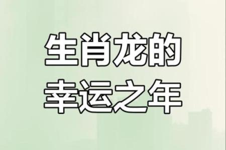 2025年属龙人的运势(属龙人未来十年运势)