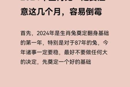 2025年属兔运势(2025年属兔运势及运程1987年生人)