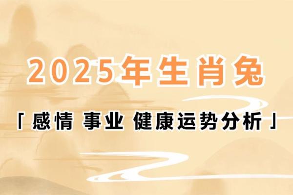 2025年属兔人的全年运势(2025年属兔人的全年运势)