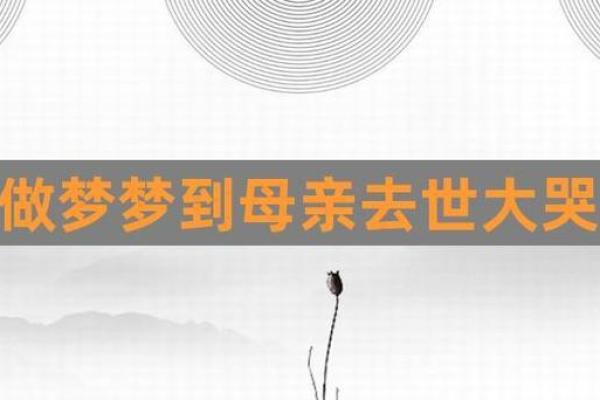 儿子梦到妈妈死了是什么征兆