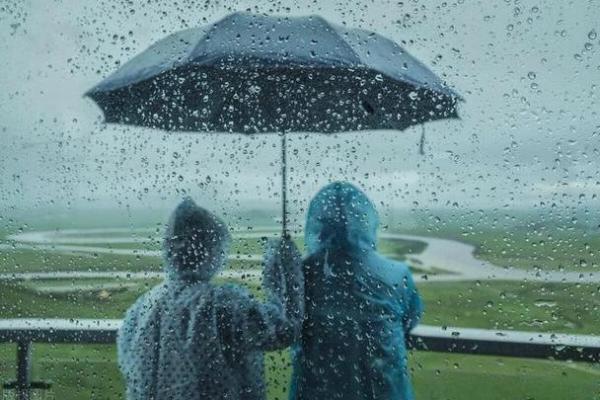 梦见下雨撑伞