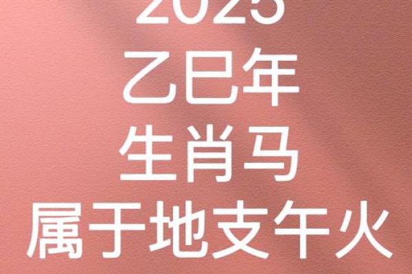 属马人2025年的运气和财运(属马人2025年的运气和财运每月周易)