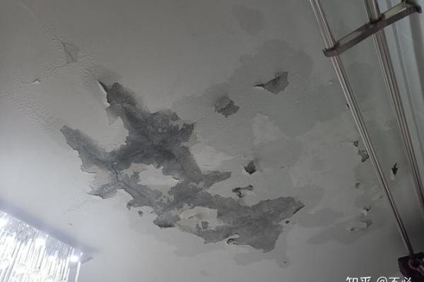 梦见下雨房屋漏水是什么意思