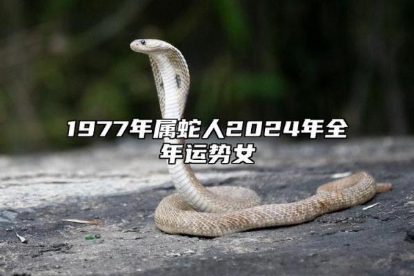 1977属蛇48岁以后运气如何(77年属蛇沙中土最适合干什么)
