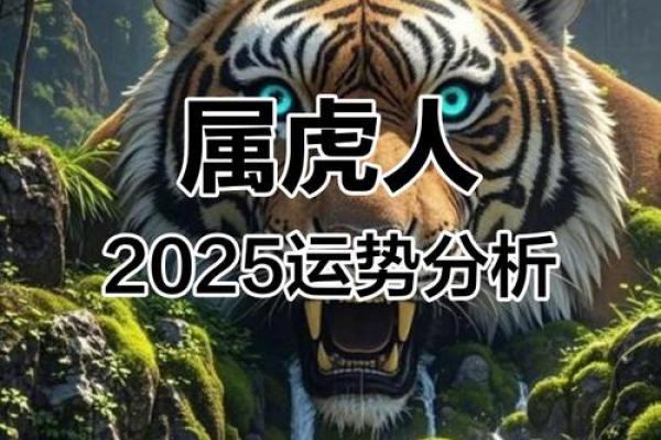 属虎女2025年的运势及运程(属虎女2025年的运势及运程及每月运势)