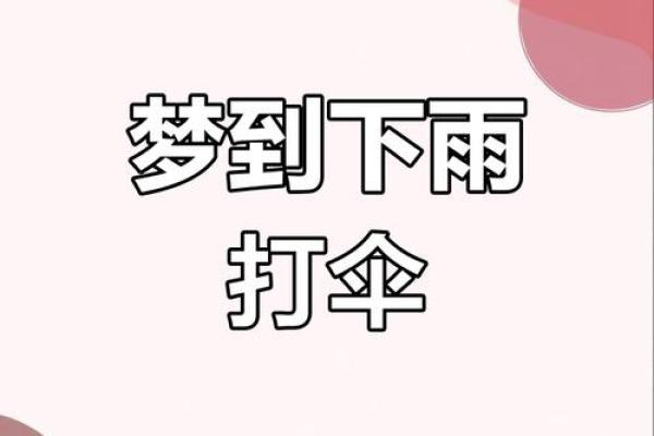 梦到下雨了