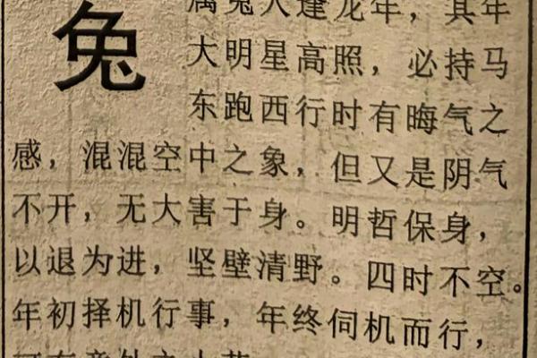 2025属兔人的全年运势如何(2025属兔人的全年运势如何,2025属兔人全年运势1987)