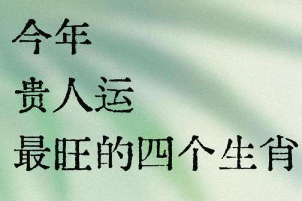 属马人2025年全年运势运程(属马人2025年全年运势运程 李计忠)