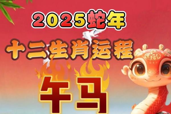 属马人2025年全年运势运程(属马人2025年全年运势运程 李计忠)